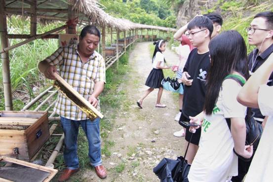 ”善行景宁乡，共圆畲汉梦“黑料不打烊
景宁梦之队-实地调研当地养蜂业